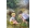 Картина маслом Дети в лесу G. Sigraud 1961, AM1390